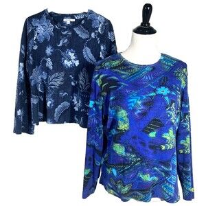 2 - Chicos T Shirt Tops Blue Floral Cotton Long Sleeve Scoop Neck Size L